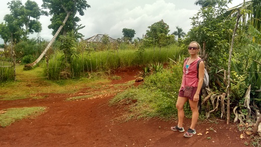 Fonds rouges derrières