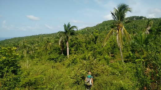 Hélène dans la bananeraie
